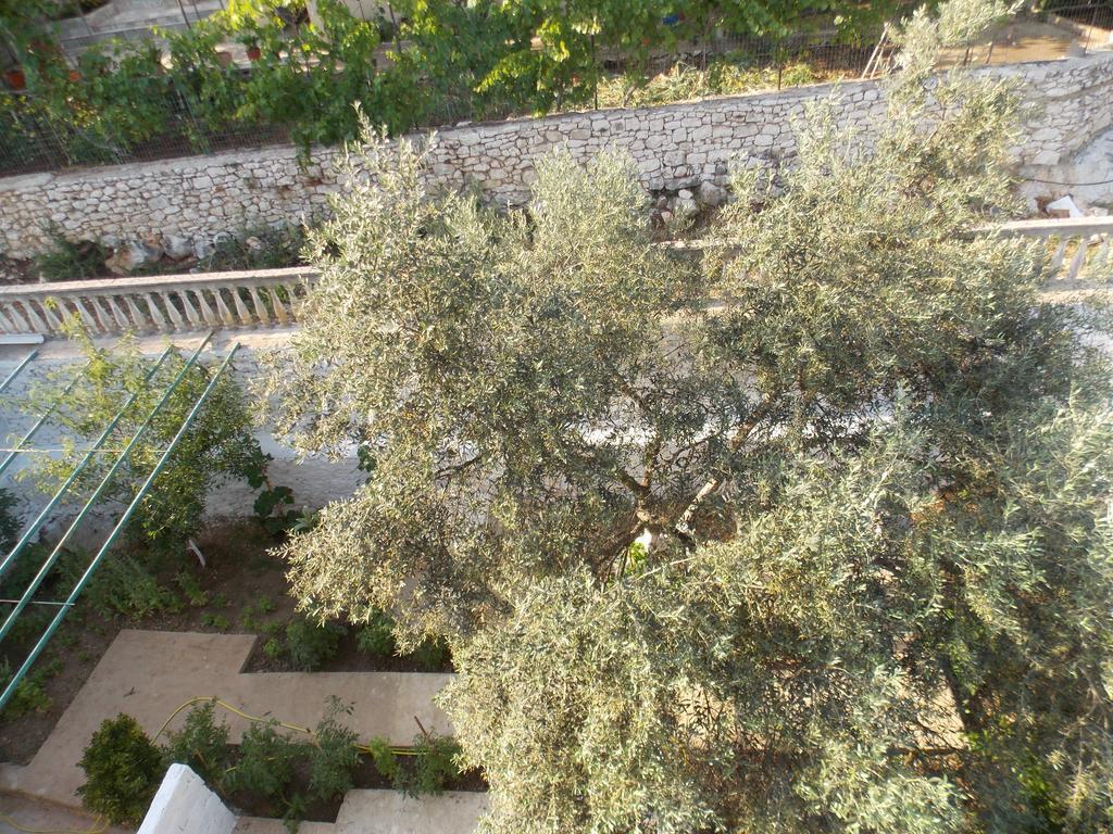 Guest House Vila Bega Σαράντα Εξωτερικό φωτογραφία