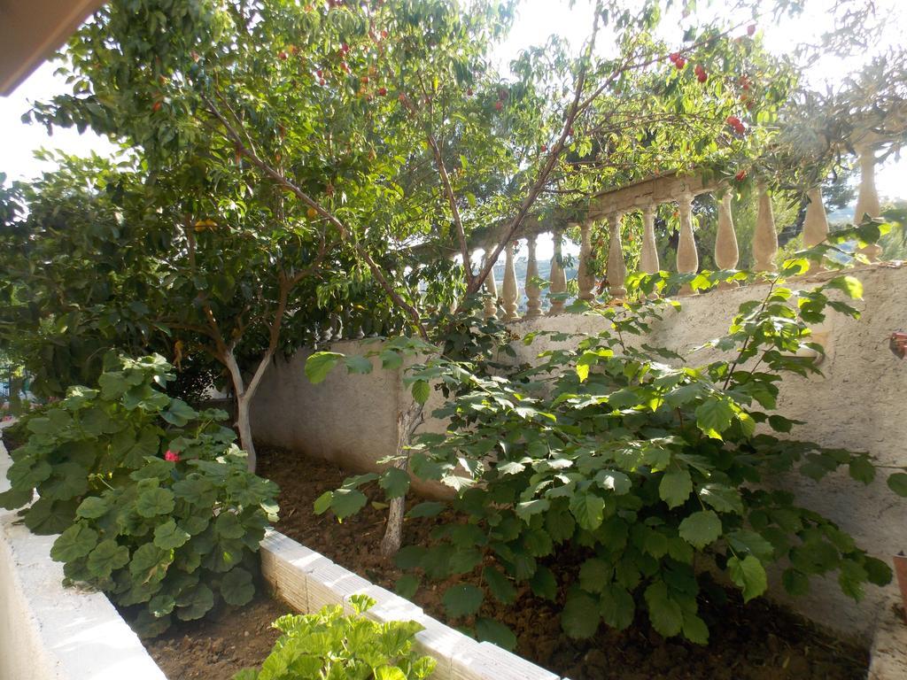 Guest House Vila Bega Σαράντα Εξωτερικό φωτογραφία