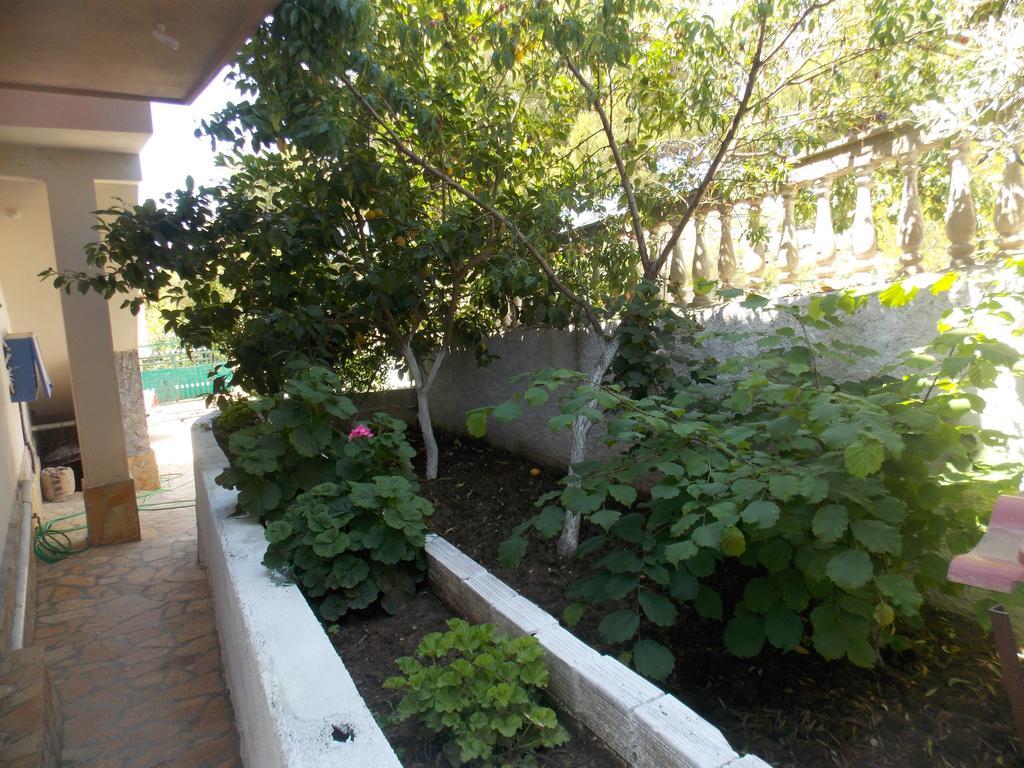 Guest House Vila Bega Σαράντα Εξωτερικό φωτογραφία